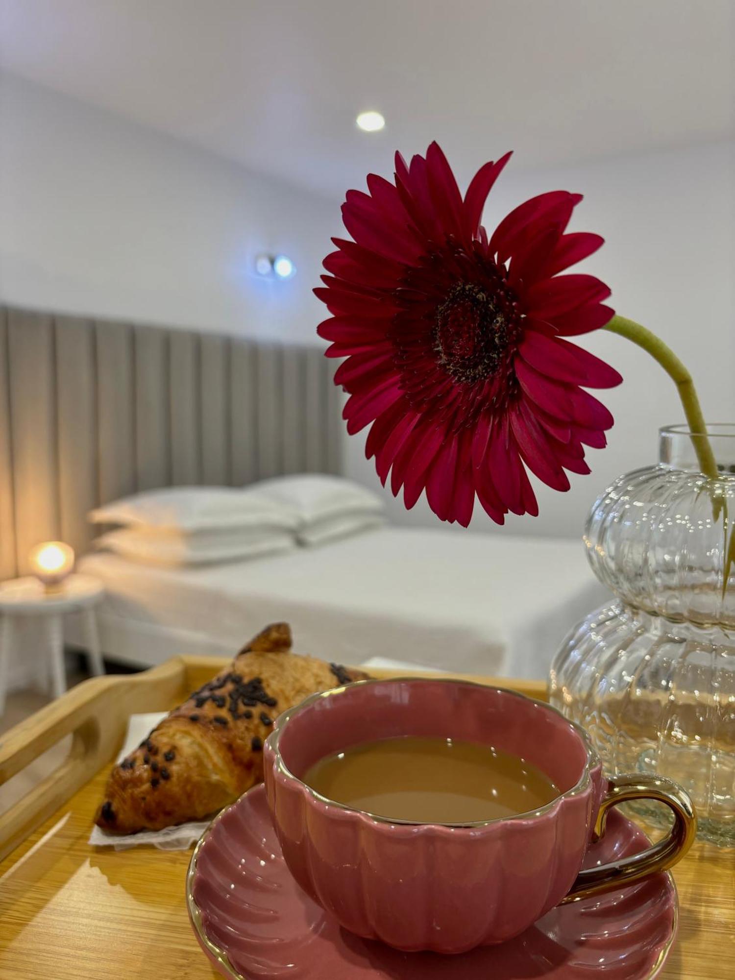Apartament Luna Piatra Neamţ 外观 照片